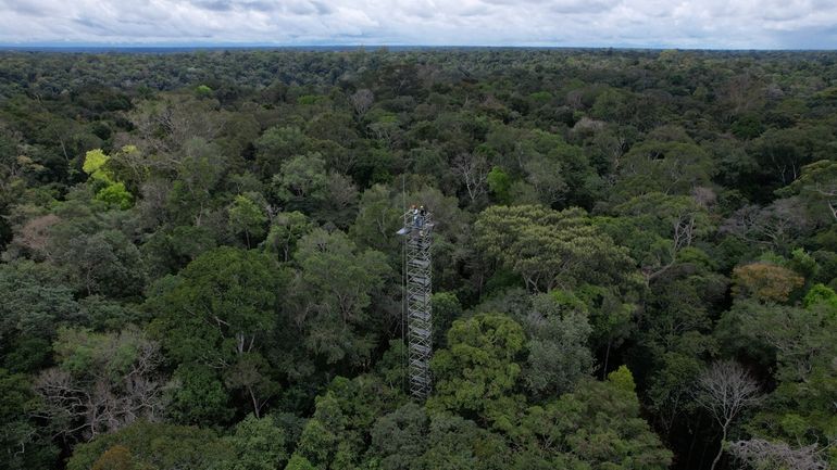 Workers stand atop a tower that will spray carbon dioxide...