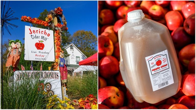 A gallon of fresh pressed apple cider at Jericho Cider Mill.