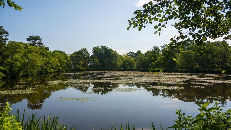 Mirror Lake in Brightwaters. An osprey drowned in a village lake last...