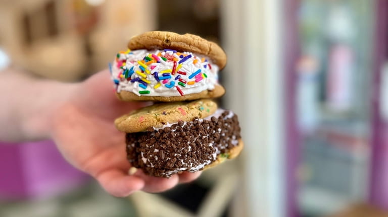 Specialty ice cream sandwiches at Smusht in Port Washington.