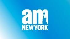 amNY holding image