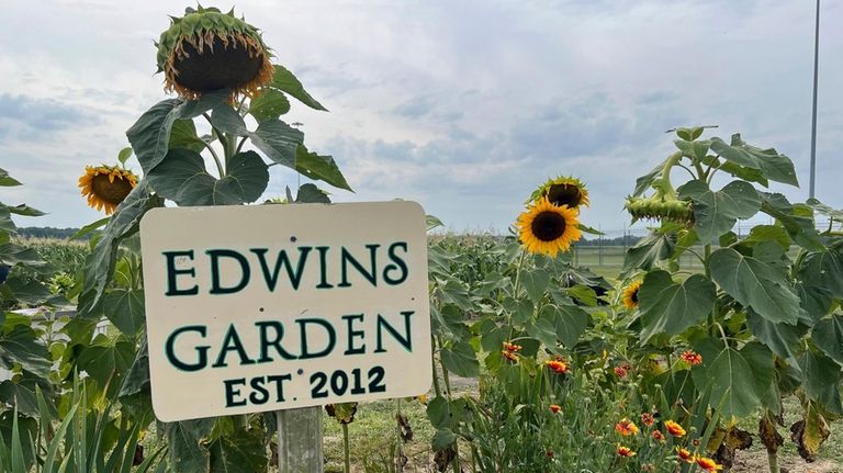 A sign for Edwins Garden is posted inside the Grafton...