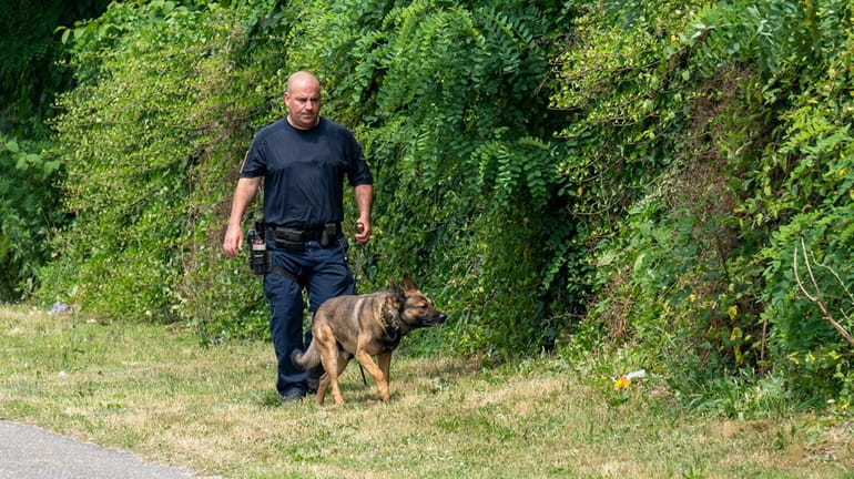 A Suffolk County police officer with K-9 conducts a search...