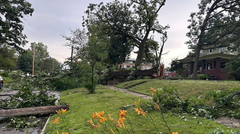 Downed trees and power lines litter a neighborhood after strong...