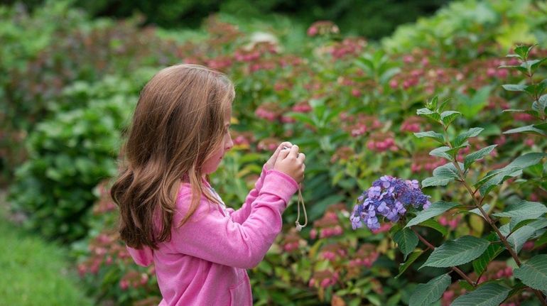 Ava Roth, 7, taking pictures with Mom at the Bayard...