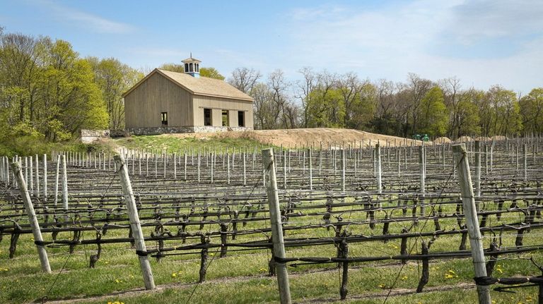 McCall Wines in Cutchogue is building a new barn with timber from...