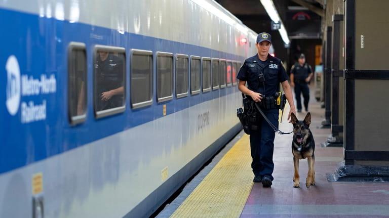 Alison Gentile, a police officer with the MTA canine unit...