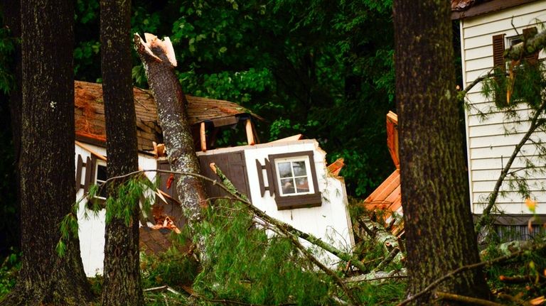 Fallen trees are scattered following after a storm that hit...