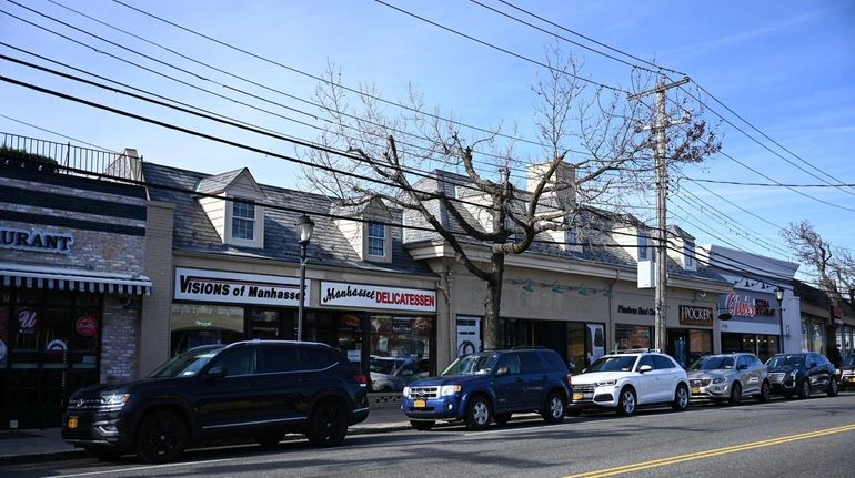 Businesses along Plandome Road in Manhasset, where some owners have...