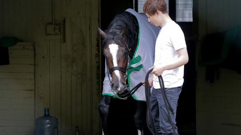 Assistant trainer Masaaki Minamida leads Epicharis from his barn after...