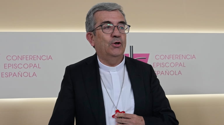 The President of the Spanish Bishops Conference, Luis Javier Arguello...