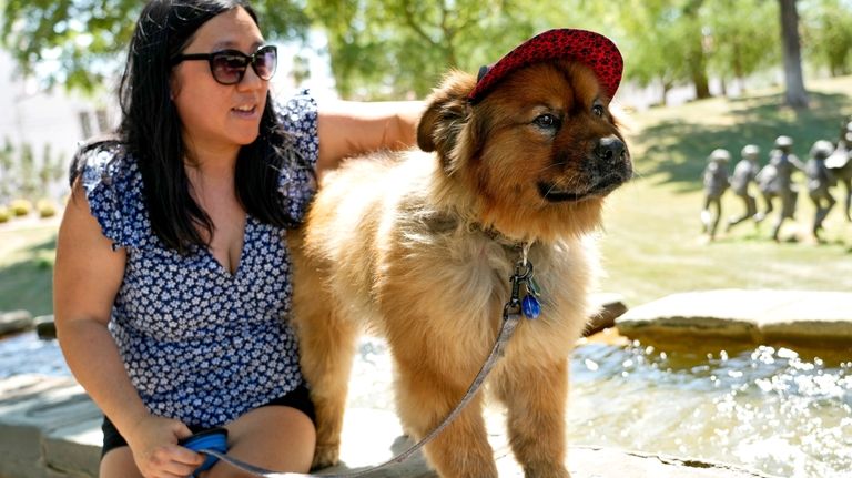 Terry Tang sits with her dog "Teddy" as he dons...