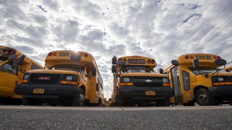 Buses at a Baumann lot in Oceanside in 2017.