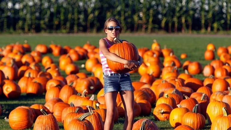 Samantha Perez, 11, of Lindenhurst, carries a large pumpkin after...