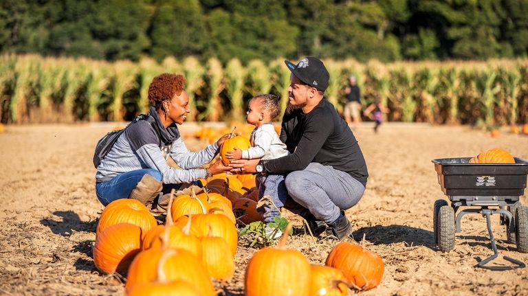 Matthew Rivera Jr., picks pumpkins with his parents Desire and...