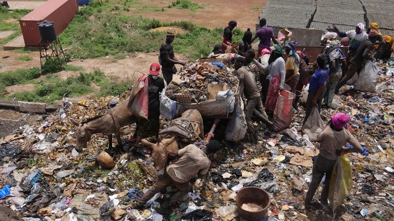 Donkeys pull a cart to collect household waste at the...