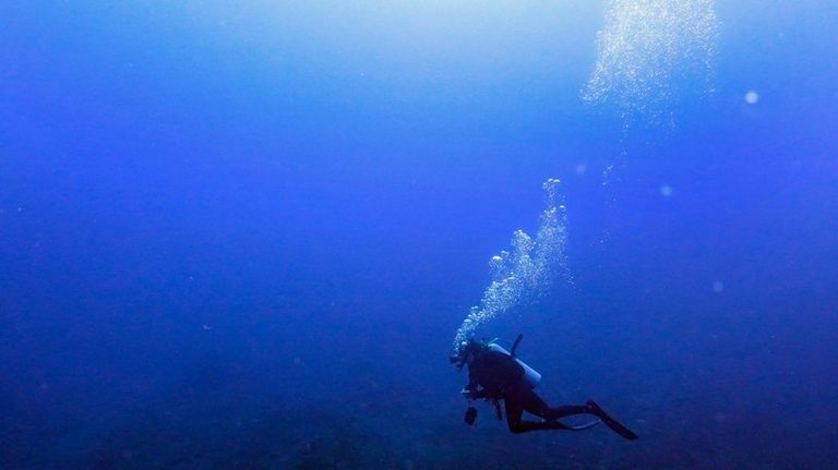 Laura Tinnes scuba dives at the he Flower Garden Banks...