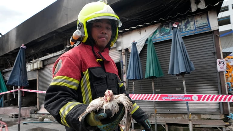 Thai rescuer carries a survived chicken from a fire at...