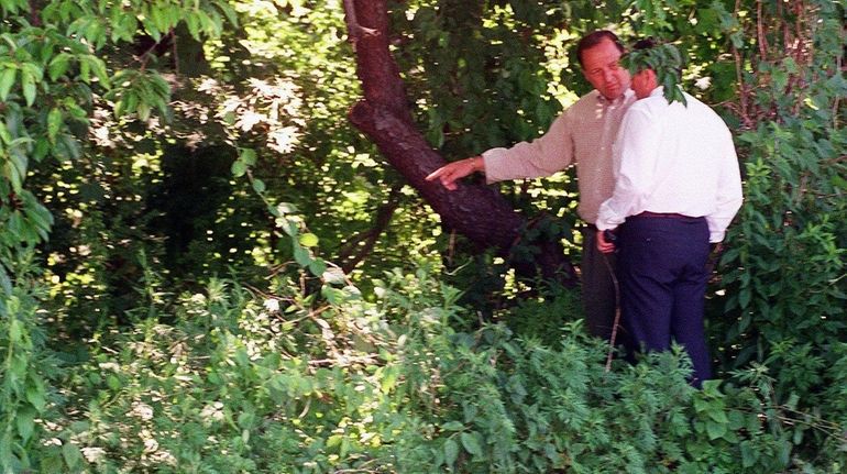 Detectives investigate in the woods where the remains of a...