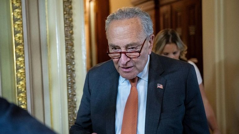 Senate Majority Leader Chuck Schumer (D-N.Y.) said former President Donald Trump...