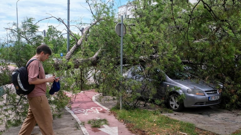 A person walks past a downed tree after a powerful...