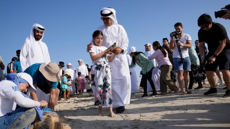 A girl carries a sea turtle to release on Saadiyat...