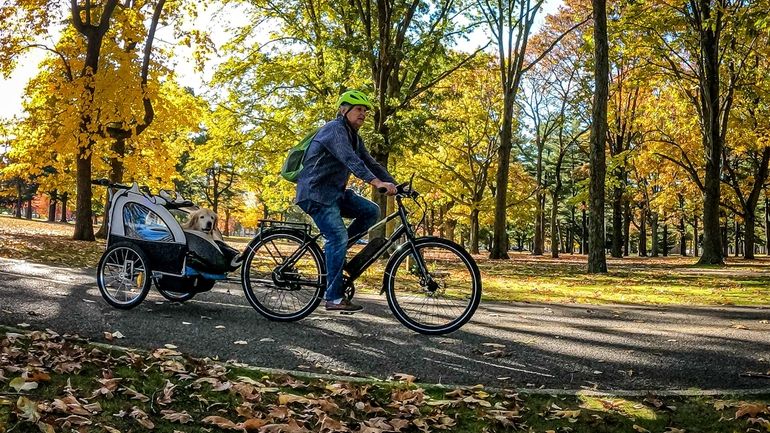 A man getting some exercise while riding his bike with...