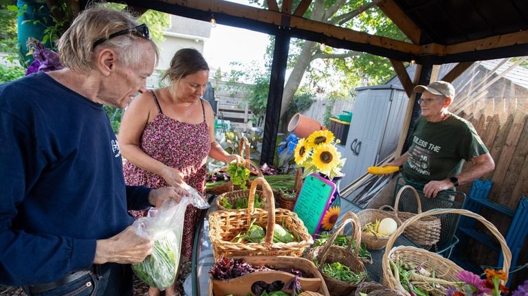 Volunteers Leah Pollard and Robert Ford choose the produce that...