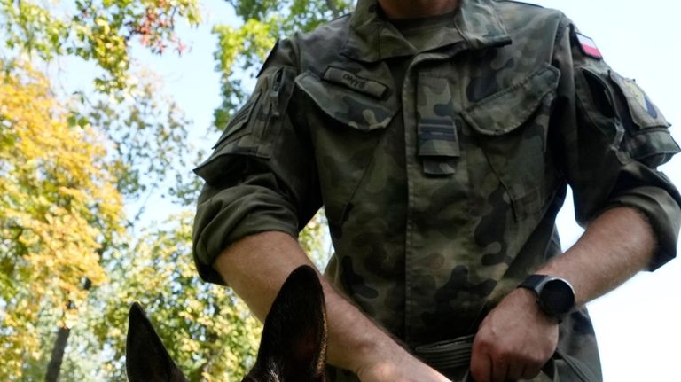 Senior Corporal Tomasz Gnys holds Emi, a Belgian Malinois who...