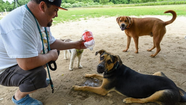 Tim Cancel, of Shirley, gives some four-legged friends a water break on...