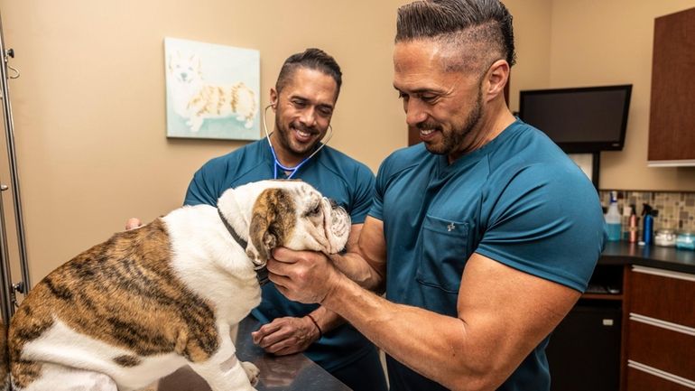 Carlos, left, and Gilbert Cintron, with a patient at Twins Veterinary...