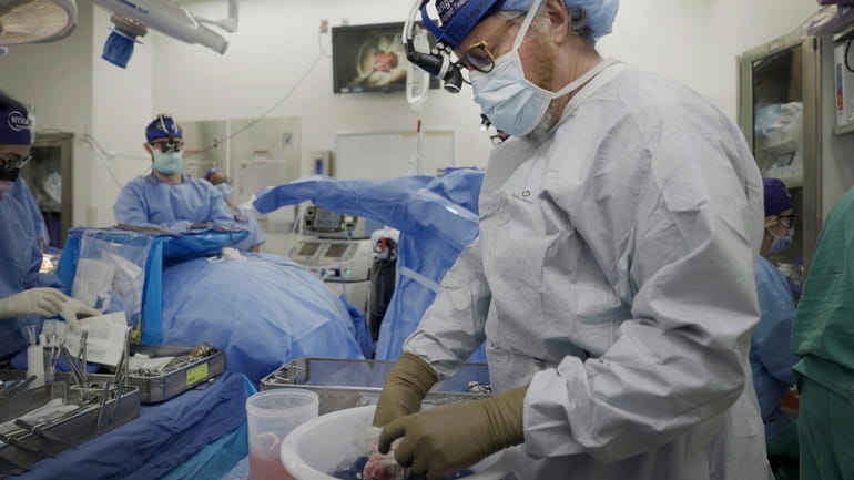 Dr. Robert Montgomery, director of NYU Langone’s transplant institute, prepares...