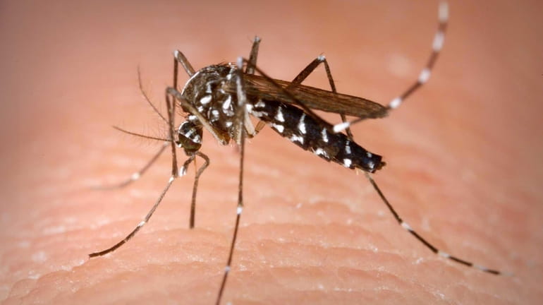 Suffolk County plans to conduct its first ground spraying of...