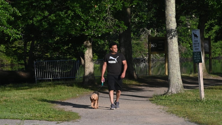 Brendon Phillip goes for a stroll with his dog “Buddy”...