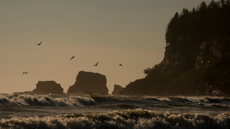 Pelicans fly near the shore as waves from the Pacific...