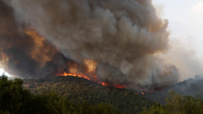 Flames burn a forest during wildfires near the village of...