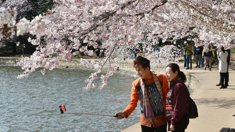 Visitors snap photos at the Tidal Basin in Washington, D.C.