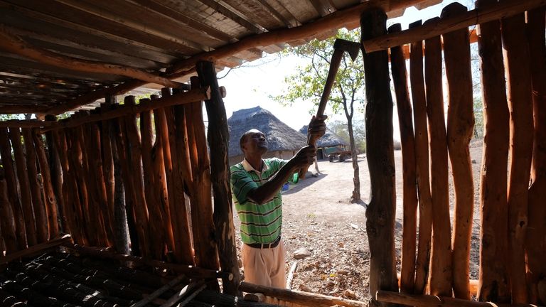 A man constructs a goat pen above the ground to...