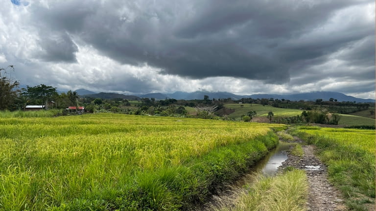 A road is visible at the farm of Joemar Flores...