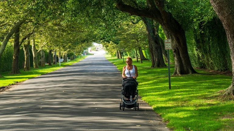 A women pushes a stroller along a tree-lined street in...