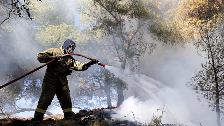 A firefighter struggles to extinguish a forest fire in the...