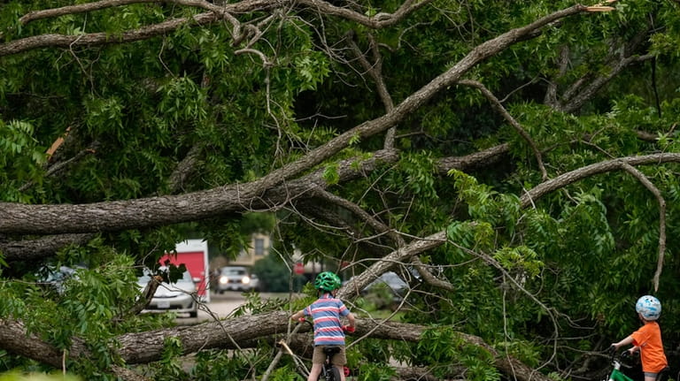 Neighborhood children check out an uprooted tree that's blocking East...