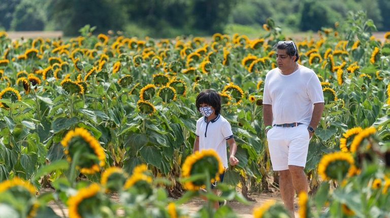 Robert Mehra and his son Roman, 7, walk along the...