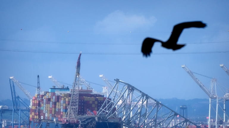A bird flies past the collapsed Francis Scott Key Bridge...