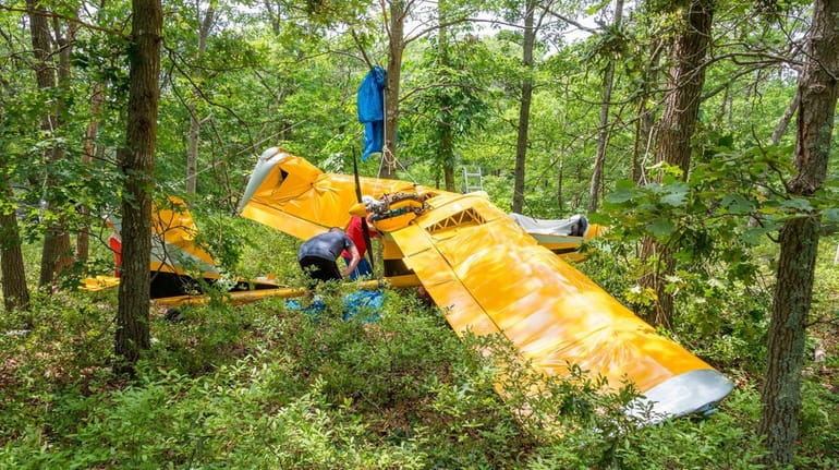 A single-engine ultralight plane went down in a wooded area...