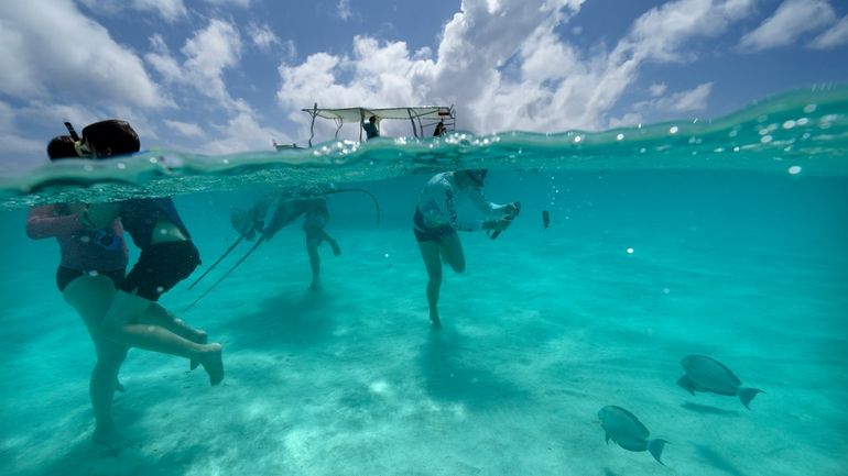 Max Brown, center, films underwater during a tour with other...