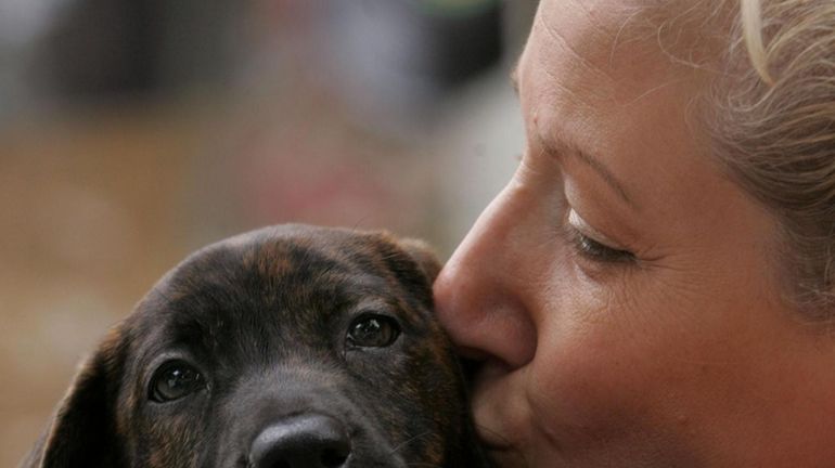 A volunteer named Janine and a female mixed bassett puppy...