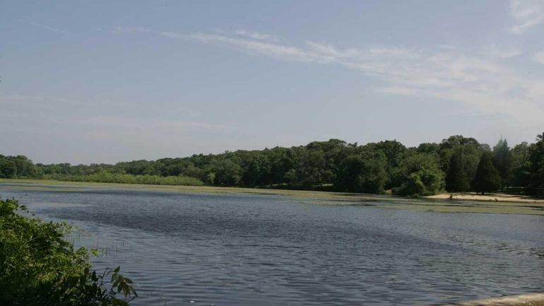 The Carmans River at Mill Road in Yaphank. (July 12,...