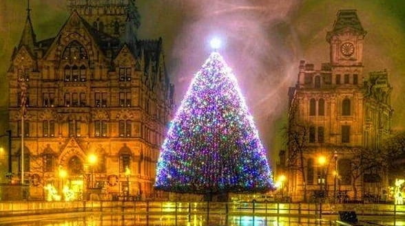 Photographer Jody Greiner snapped this photograph of a Christmas tree...
