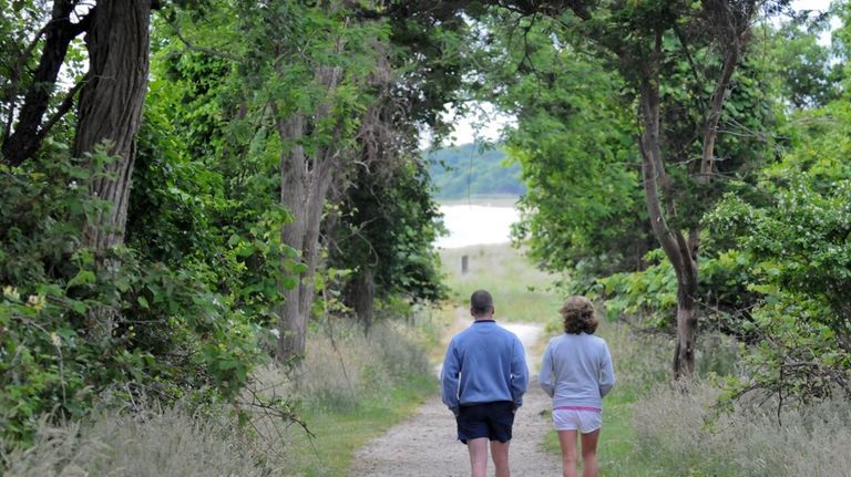 A couple walks on the trail through the woods of...